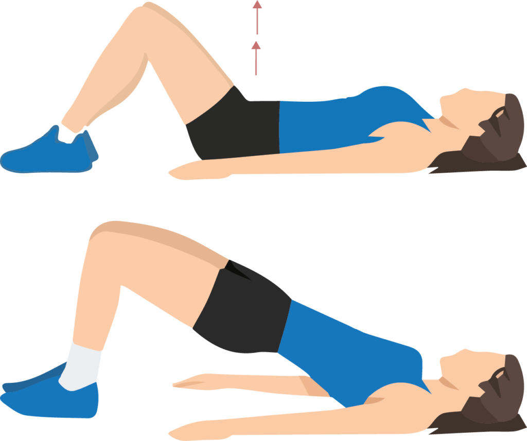 Bridges Exercises for Physiotherapy